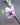 Percochen