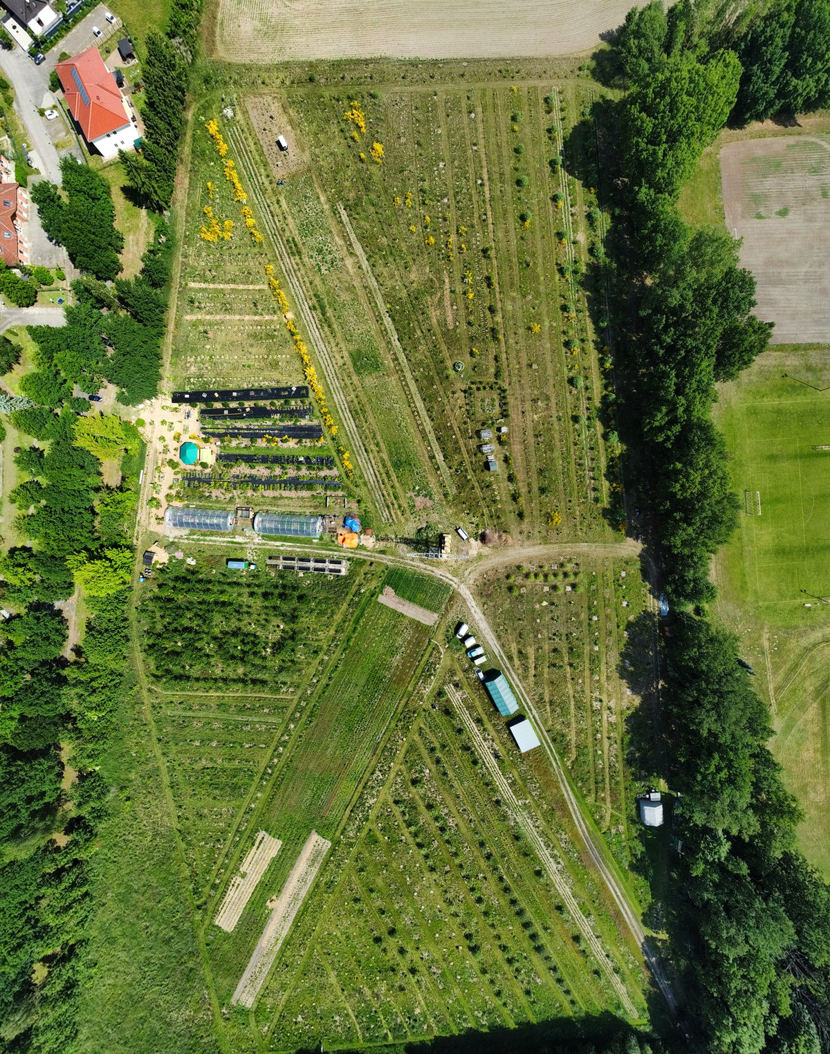 Waldgärtnerei und Waldgartensysteme Kyritz, Dronenaufnahme, Frühjahr 2025