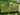Waldgärtnerei und Waldgartensysteme Kyritz, Dronenaufnahme, Panorama, Frühjahr 2025
