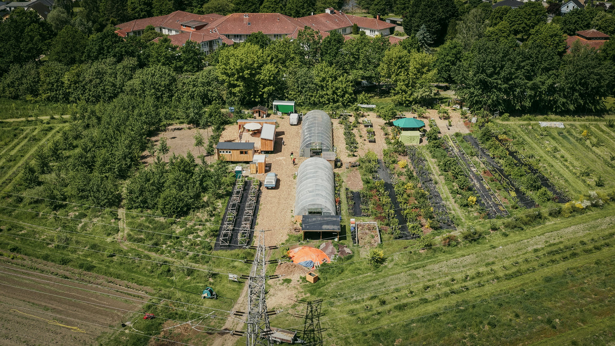 Waldgärtnerei Kyritz, Verkaufsbereich, Topfware-Streifen, Folientunnel und Waldgartencampus, 2026