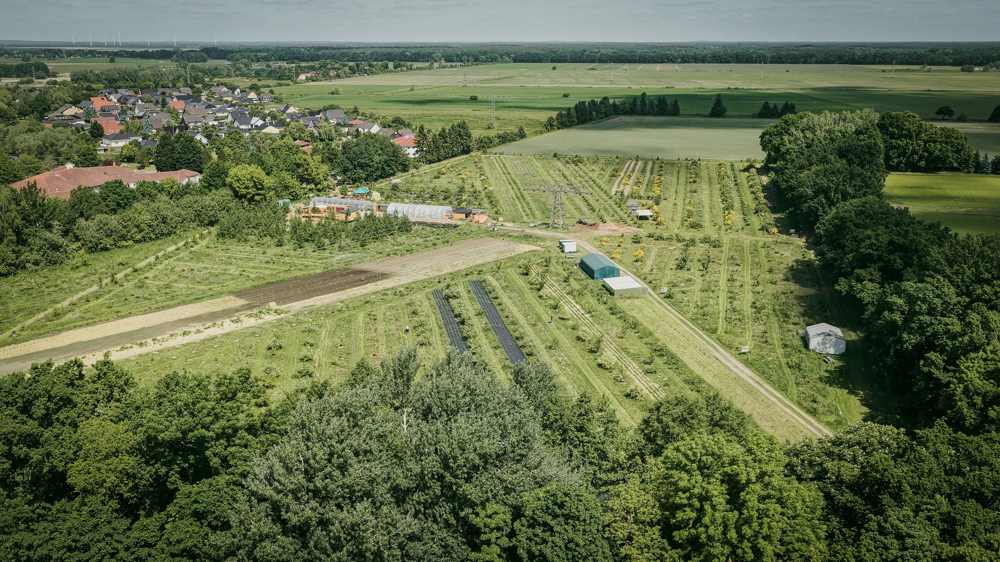 Waldgärtnerei Kyritz, totale Luftaufnahme,2026