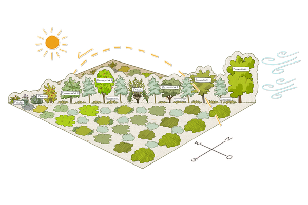 Schematische Zeichnung eines Klimawaldgartens