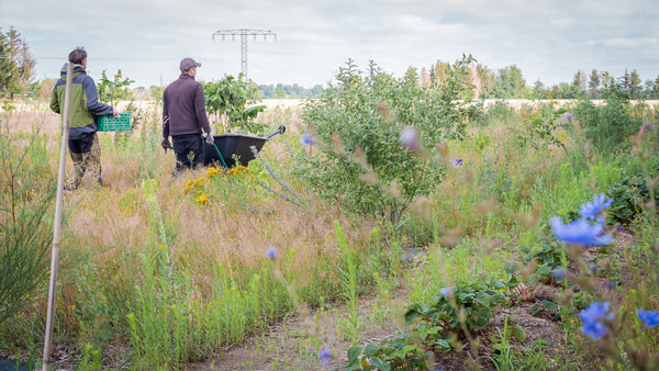 Waldgartensysteme Kyritz, Mitarbeiter auf dem Weg zum Pflanzen von Gehölzen