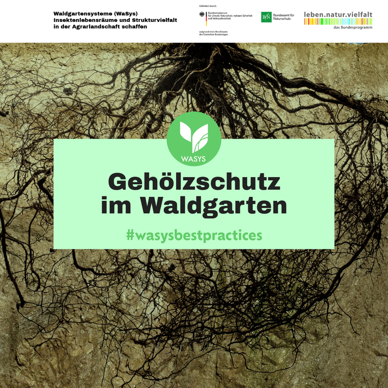 Titelbild: Gehölzschutz im Waldgarten